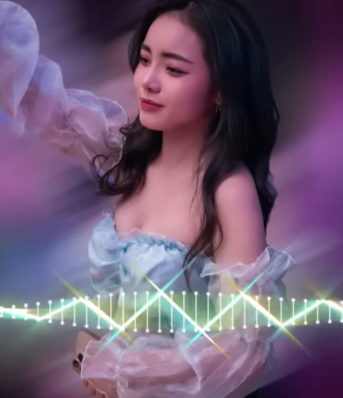 lĩnh vực hoạt động